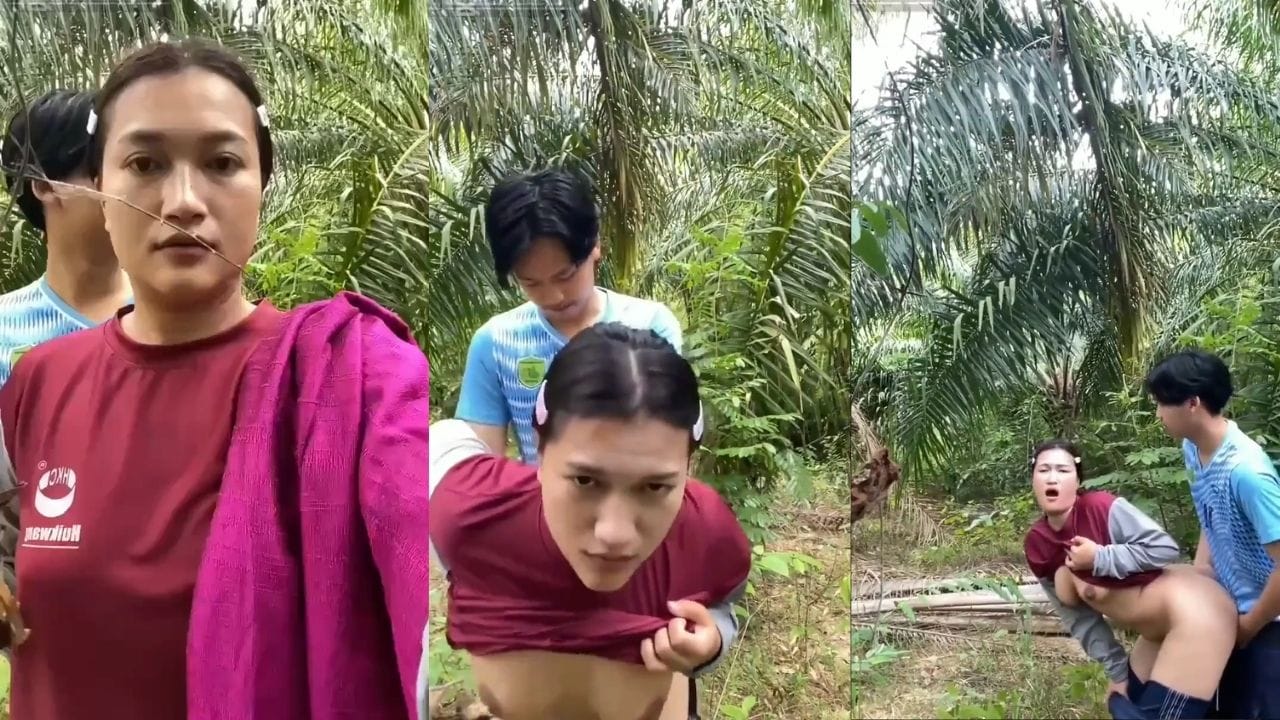 Bokep Indo Ibu Tiri Vs Anak Tiri Ngewe Di Kebun Sawit